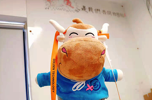 2021年税务师考试科目搭配建议！千万别错过哦！